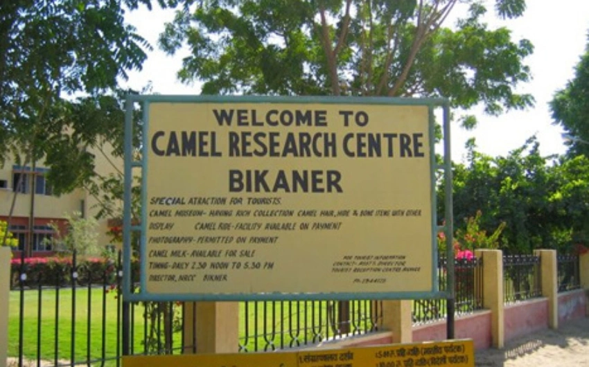 National Research Centre on Camel Bikaner