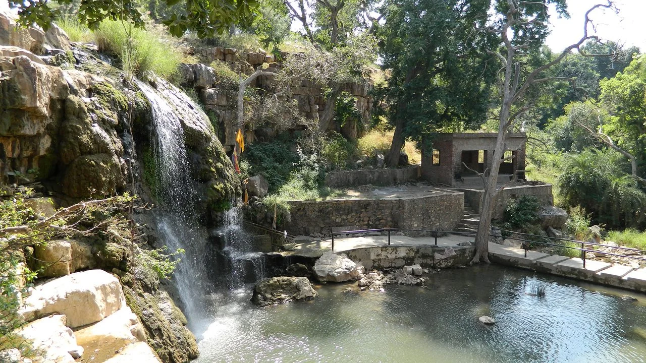 Bassi Wildlife Sanctuary