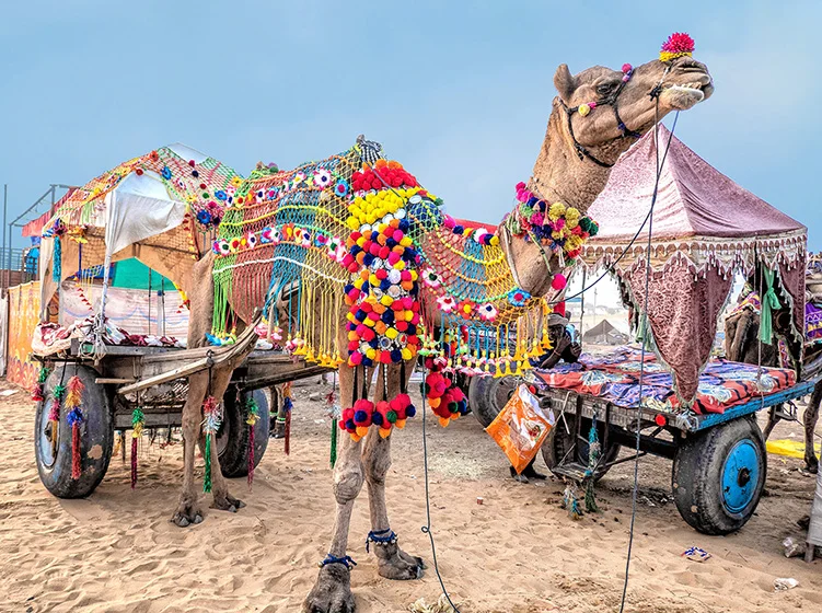 PUSHKAR CAMEL FAIR GROUND