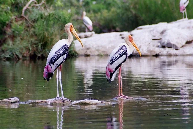 SURWAL LAKE
